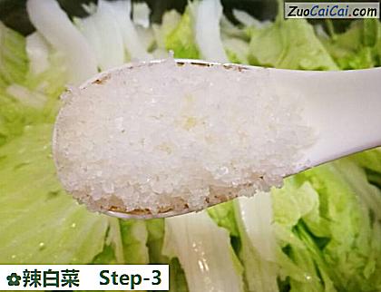 辣白菜做法第三步骤