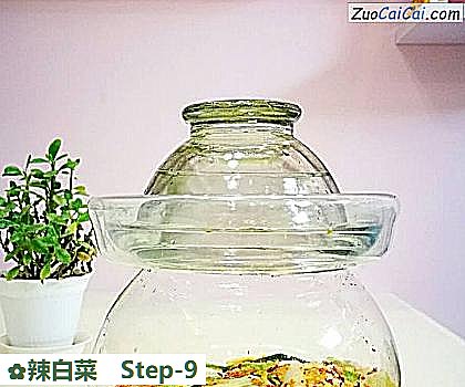 辣白菜做法第九步骤
