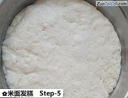 米面发糕做法第五步骤