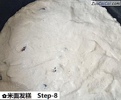 米面发糕做法第八步骤