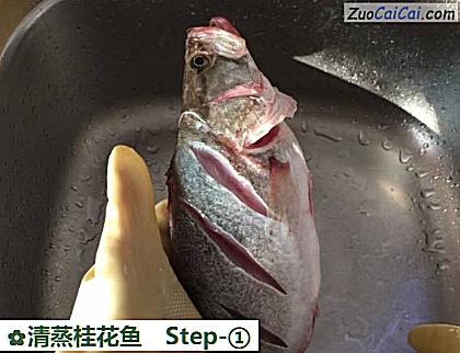 清蒸桂花鱼做法第一步骤