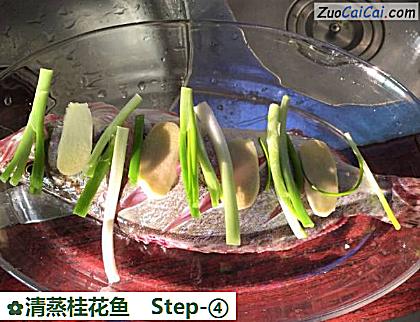 清蒸桂花鱼做法第四步骤