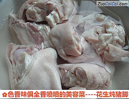 花生炖猪脚做法第一步骤