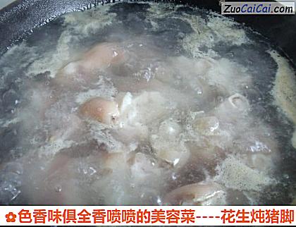 花生炖猪脚做法第二步骤