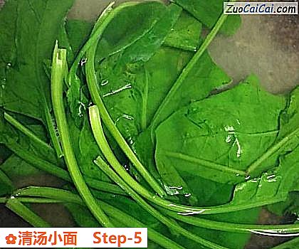 清汤小面做法第五步骤