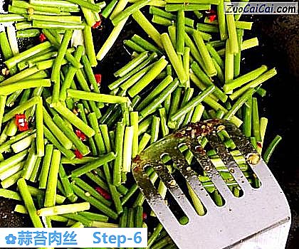 蒜苔肉丝做法第六步骤