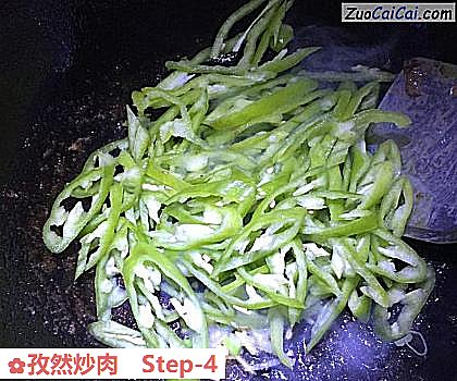 孜然炒肉做法第四步骤