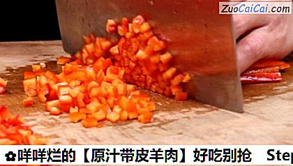 原汁带皮羊肉做法第三步骤