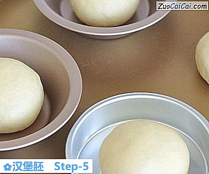 汉堡胚做法第五步骤