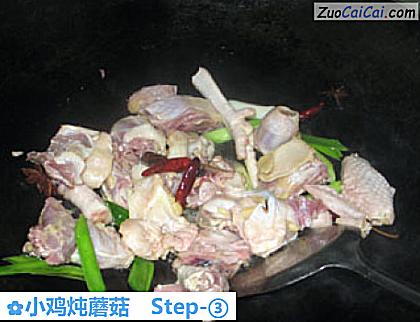 小鸡炖蘑菇做法第三步骤