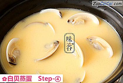 白贝蒸蛋做法第四步骤