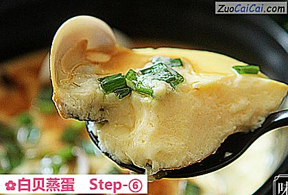 白贝蒸蛋做法第六步骤
