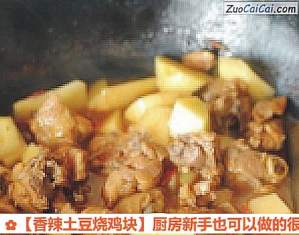 香辣土豆烧鸡块做法第七步骤