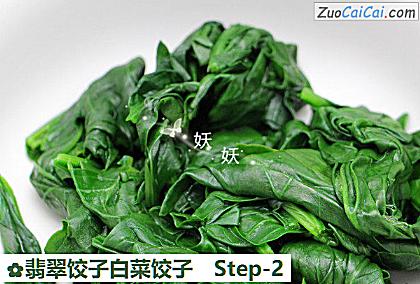 翡翠饺子白菜饺子做法第二步骤