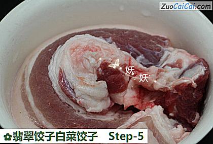 翡翠饺子白菜饺子做法第五步骤