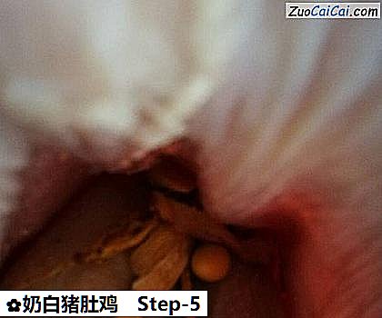 奶白猪肚鸡做法第五步骤