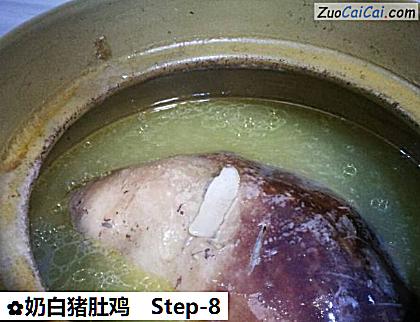 奶白猪肚鸡做法第八步骤