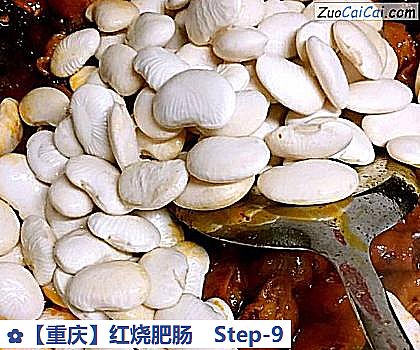 红烧肥肠做法第九步骤