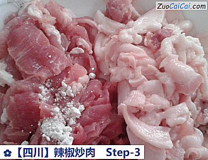 辣椒炒肉做法第三步骤