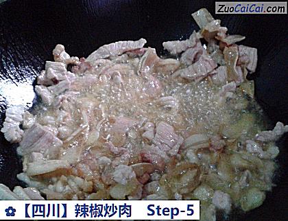 辣椒炒肉做法第五步骤