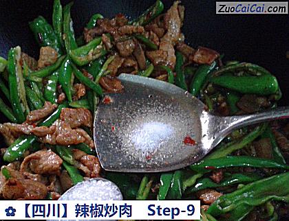 辣椒炒肉成品图3