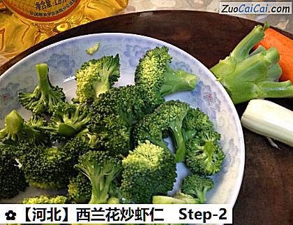 西兰花炒虾仁做法第二步骤