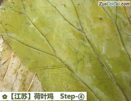 荷叶鸡做法第四步骤