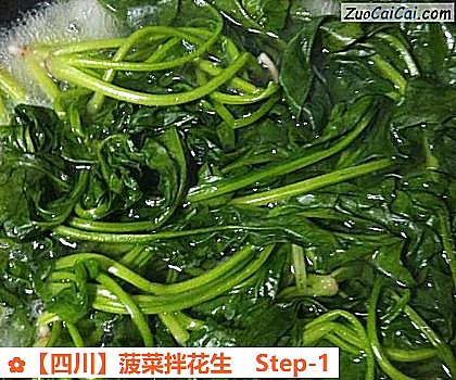 菠菜拌花生做法第一步骤