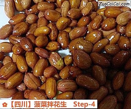菠菜拌花生做法第四步骤