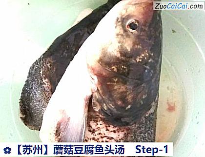 蘑菇豆腐鱼头汤做法第一步骤