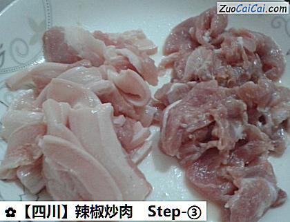 辣椒炒肉做法第三步骤