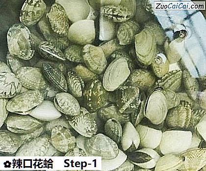 辣口花蛤做法第一步骤