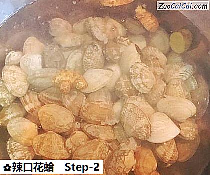 辣口花蛤做法第二步骤