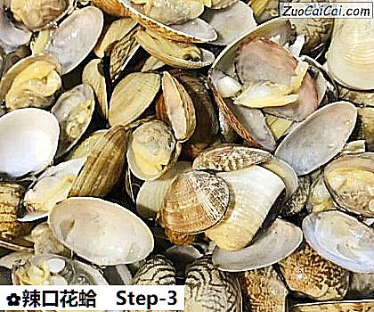 辣口花蛤做法第三步骤
