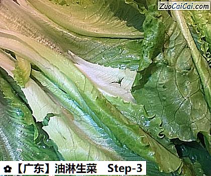 油淋生菜做法第三步骤