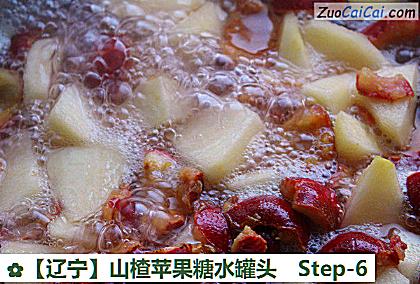 山楂苹果糖水罐头做法第六步骤