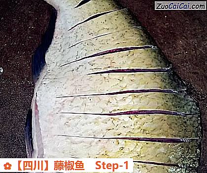 藤椒鱼做法第一步骤