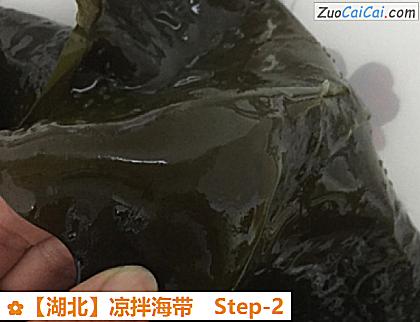 凉拌海带做法第二步骤