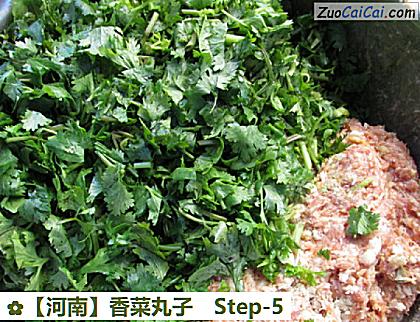 香菜丸子做法第五步骤