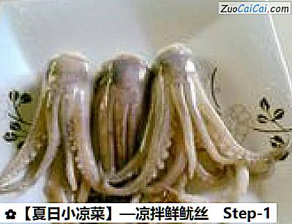 ［夏日小凉菜］—凉拌鲜鱿丝做法第一步骤