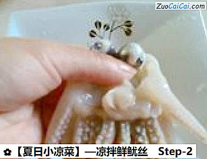 ［夏日小凉菜］—凉拌鲜鱿丝做法第二步骤