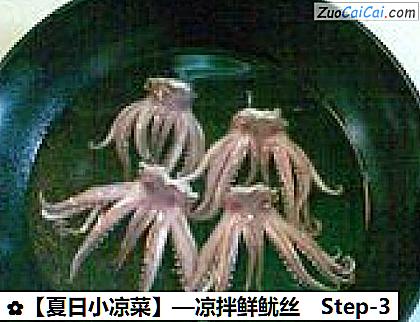 ［夏日小凉菜］—凉拌鲜鱿丝做法第三步骤