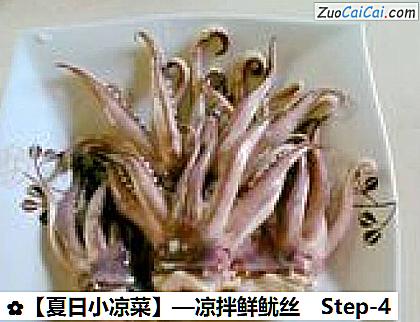 ［夏日小凉菜］—凉拌鲜鱿丝做法第四步骤