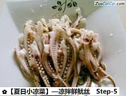 ［夏日小凉菜］—凉拌鲜鱿丝做法第五步骤