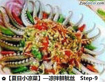 ［夏日小凉菜］—凉拌鲜鱿丝做法第九步骤