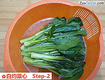 白灼菜心做法第二步骤