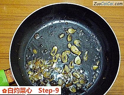 白灼菜心做法第九步骤
