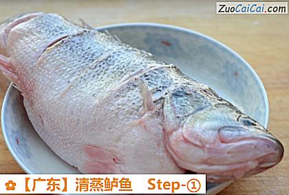 清蒸鲈鱼做法第一步骤