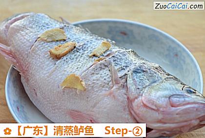 清蒸鲈鱼做法第二步骤