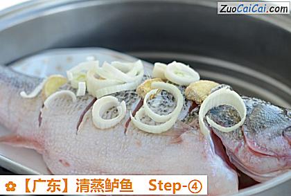 清蒸鲈鱼做法第四步骤